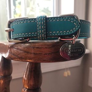 Coach Teal Leather Dog Collar